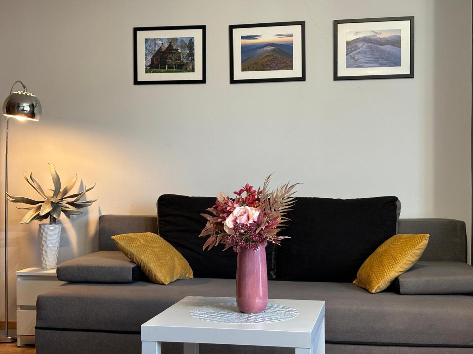 Apartament Wygodny 下乌斯奇基 外观 照片