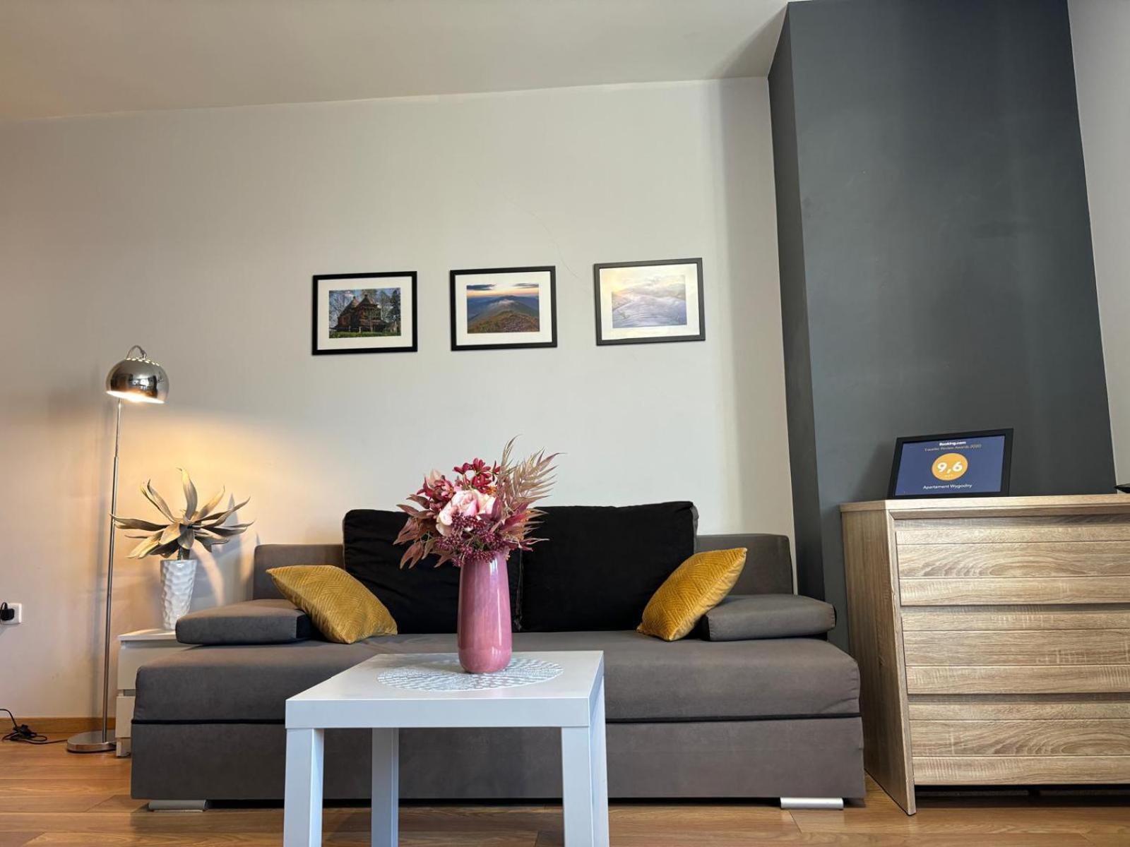 Apartament Wygodny 下乌斯奇基 外观 照片
